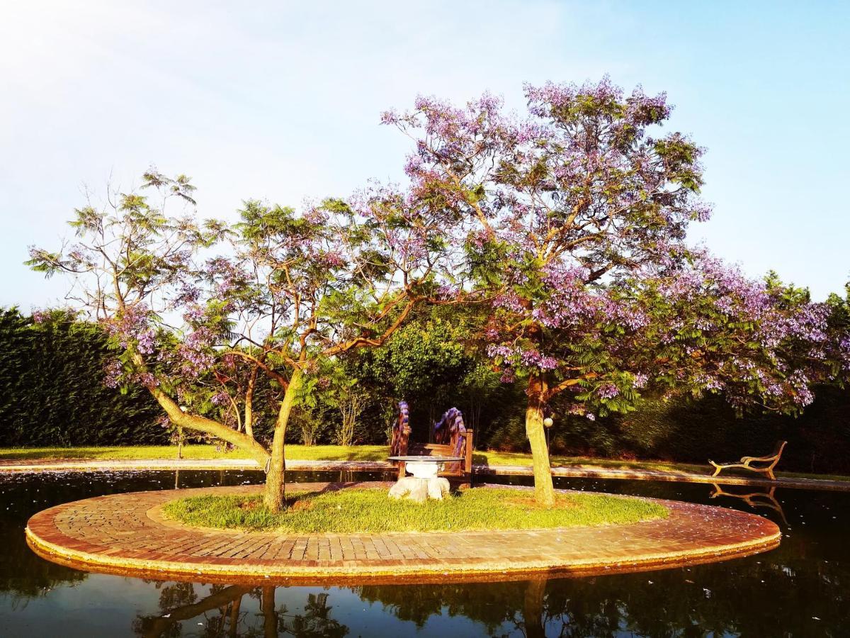 Villa Le Tre Dame B&B 巴蒂帕利亚 外观 照片